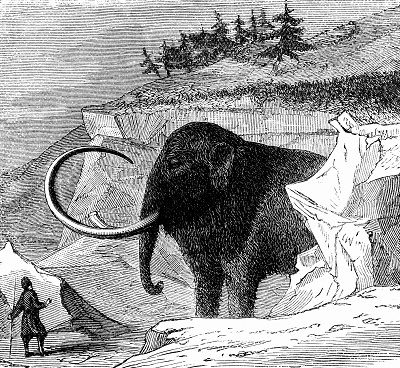 mamut włochaty