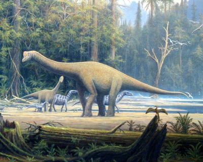 Europasaurus_holgeri_detail-fot.Gerhard Boeggemann-Wikimedia-Commons