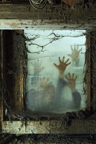 Photo Of Zombies Outside A Window