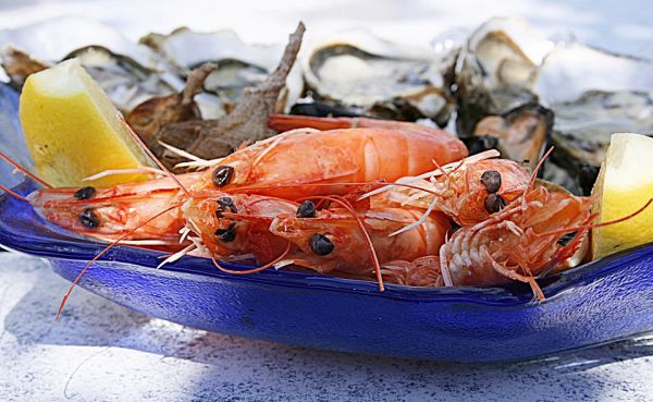 shrimp. fot. pixabay.com